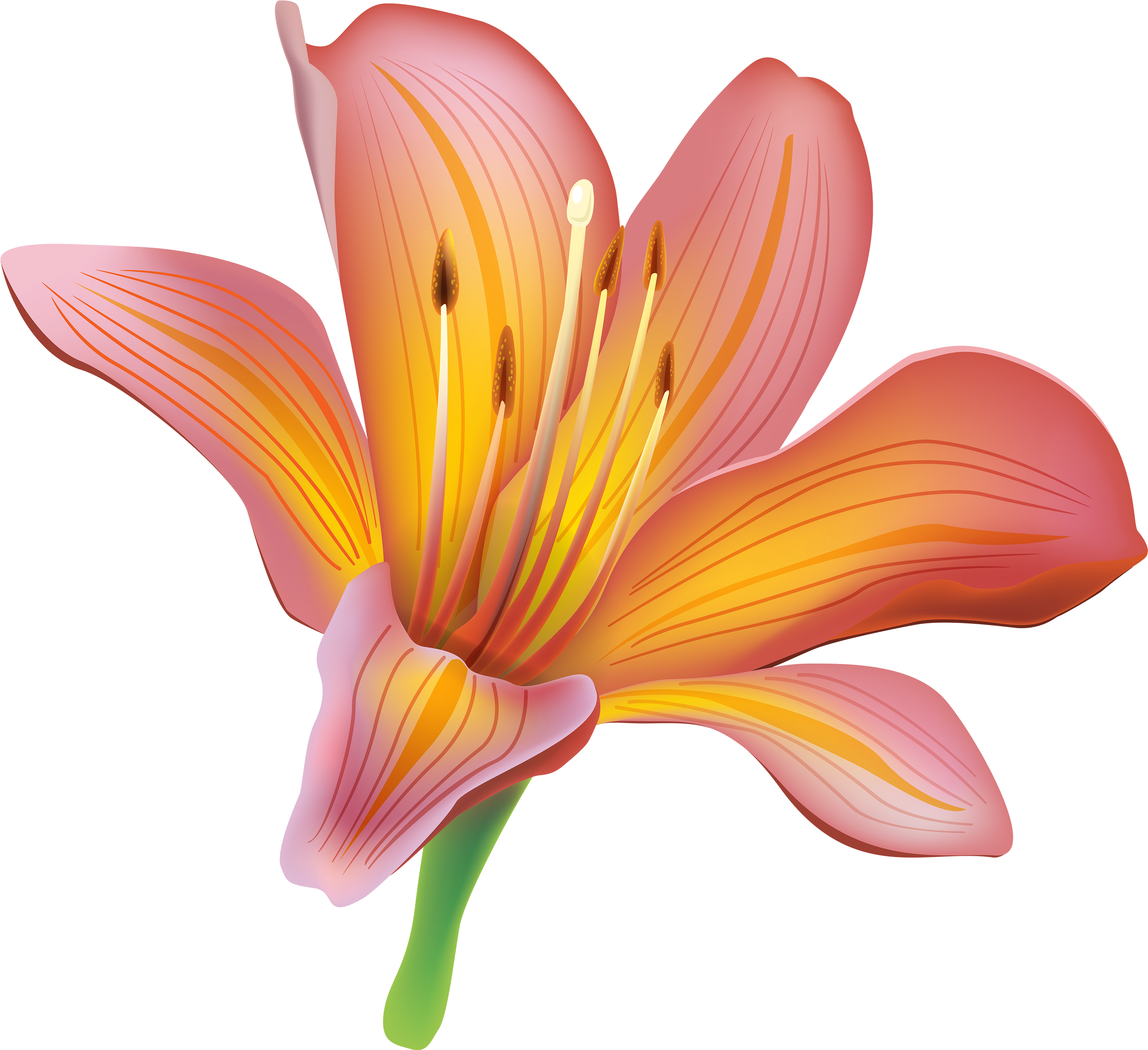 Lily Flower Clipart Web Png - Lily Clipart (3000x2744), Png Download