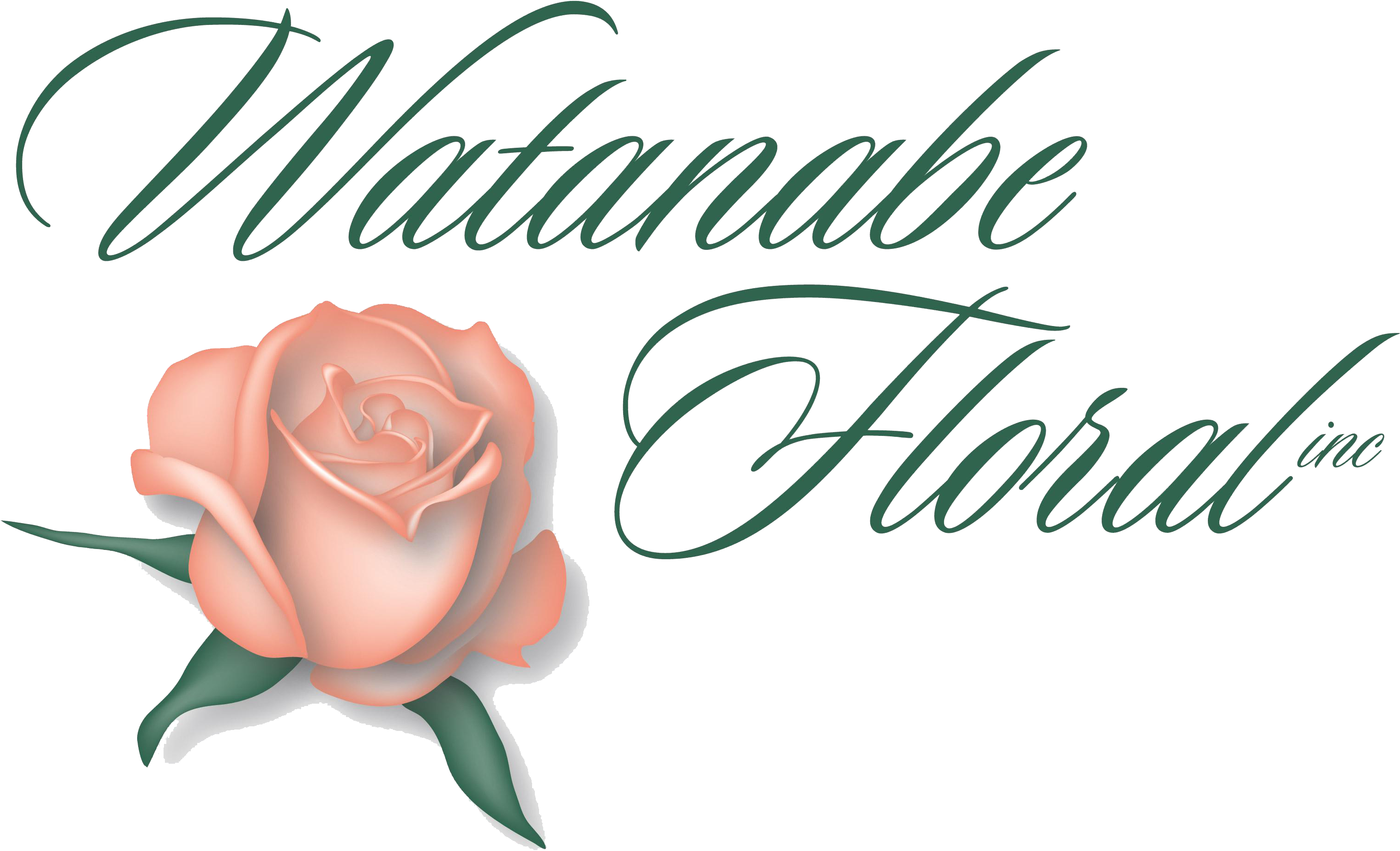 Watanabe Floral, Inc - Watanabe Floral (3360x2016), Png Download