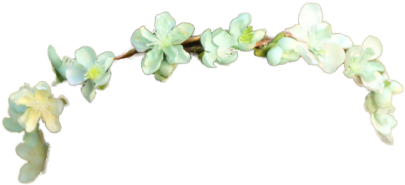 Tumblr Tumblr Crown Crown Flower Pack Png Png Flower - Flower Crown Png (500x500), Png Download