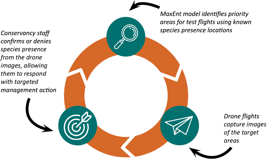 Circle (1100x680), Png Download