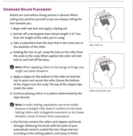 Roller Setting - Pug (984x470), Png Download
