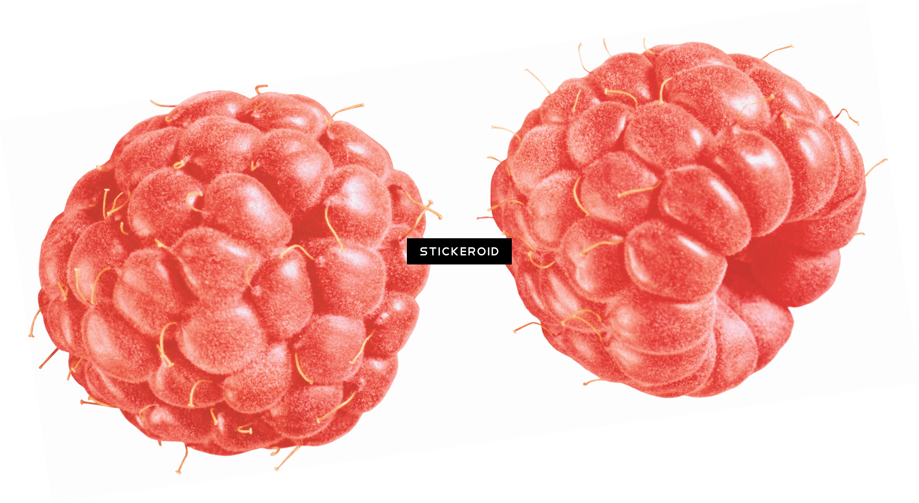 Raspberry Duo Vintage - Portable Network Graphics (3153x1727), Png Download