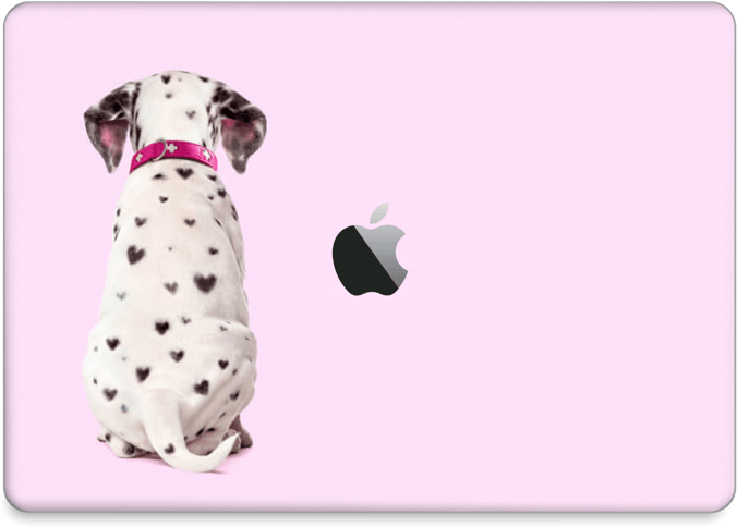 Dalmatian Puppy - Dalmatian Dog (800x562), Png Download
