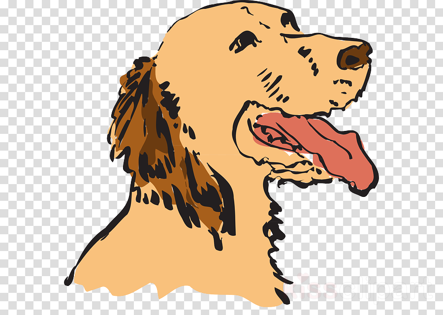 Moving Animations Of Dogs Clipart Golden Retriever - Dog (900x640), Png Download