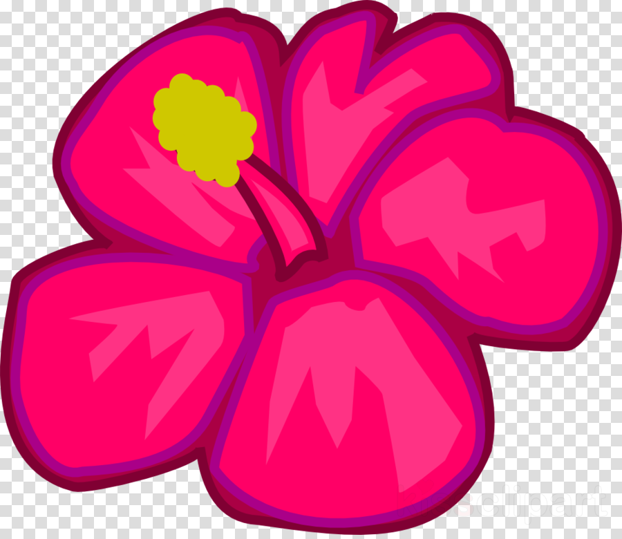 Clipart Hawaiian Flowers (900x780), Png Download