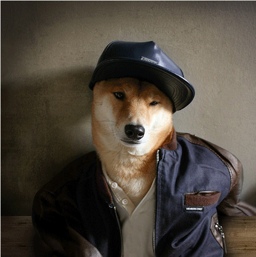 For A Saturday At Hard French - Guy She Told You Not To Worry (700x500), Png Download
