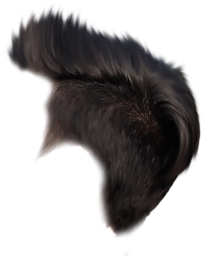 Aman Creation (631x789), Png Download