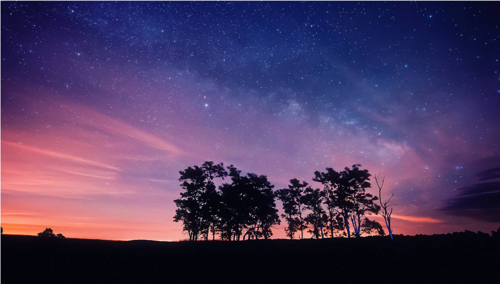 Score 50% - Maximus Aura 66 Price In Bangladesh (1000x1000), Png Download