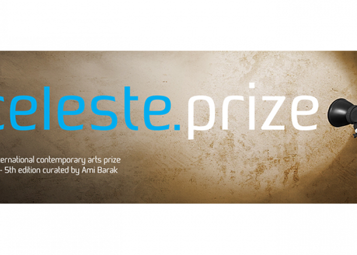 Celeste Prize 2013, 5th Edition - Permalink (700x500), Png Download