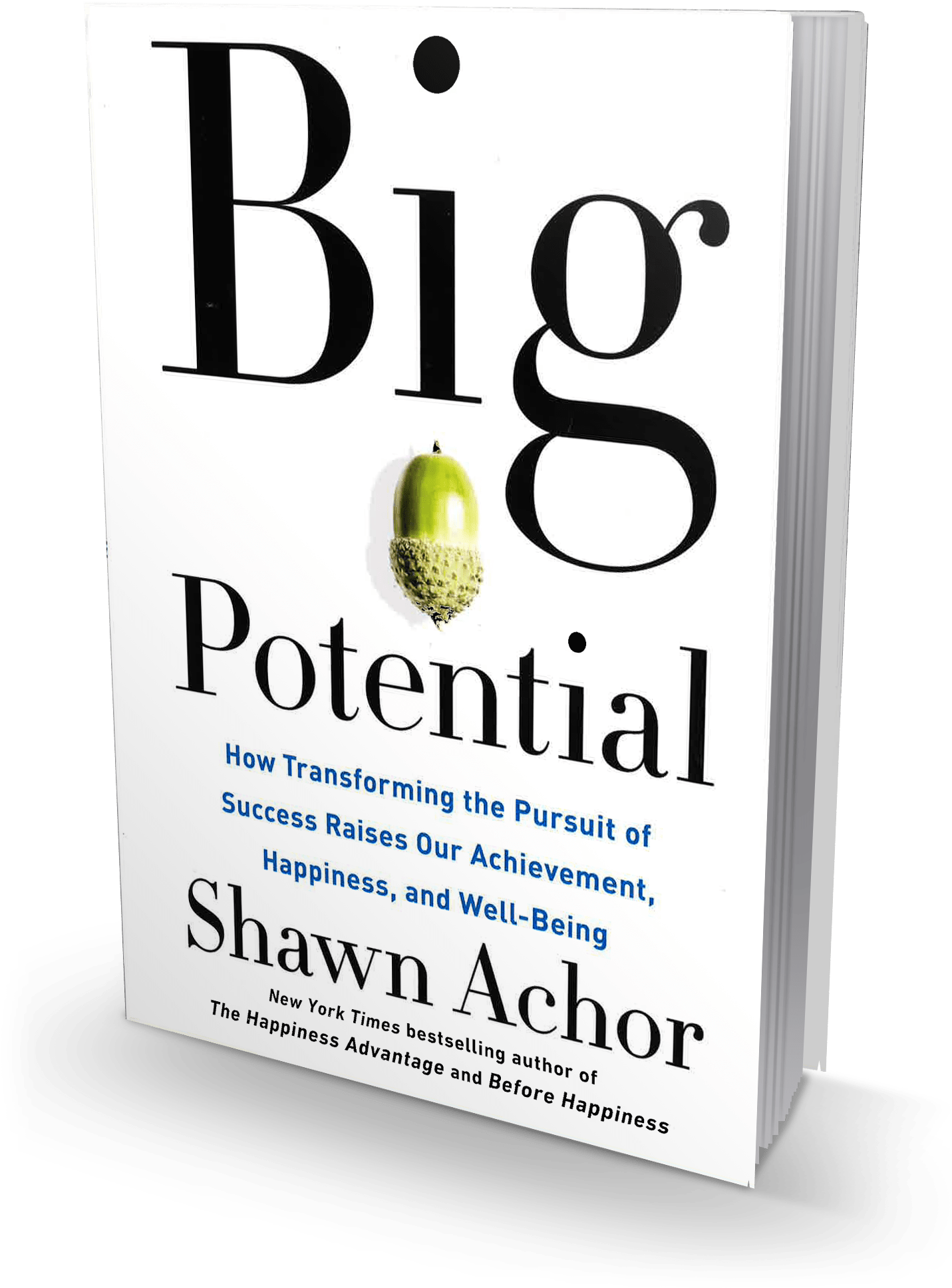 How Transforming The Pursuit Of Success Raises Our - Big Potential: How Transforming The Pursuit Of Success (1800x2200), Png Download