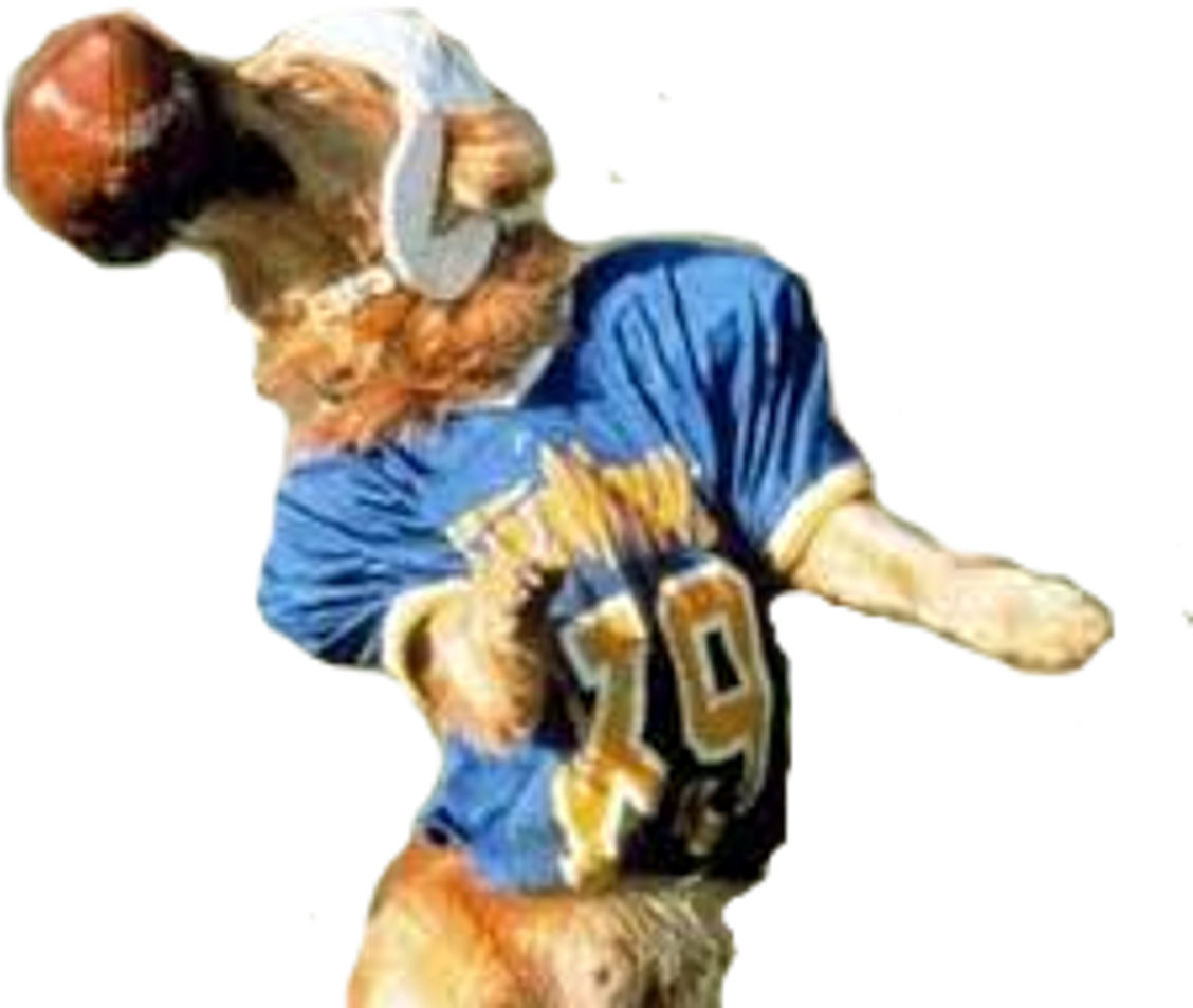 Touchdown - Air Bud Png (1225x1030), Png Download