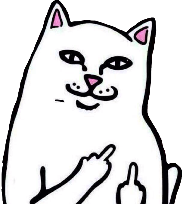 Middlefinger Cat Cats Funnycat Meme Memesfreetoedit - Middle Finger Cat Png (608x677), Png Download