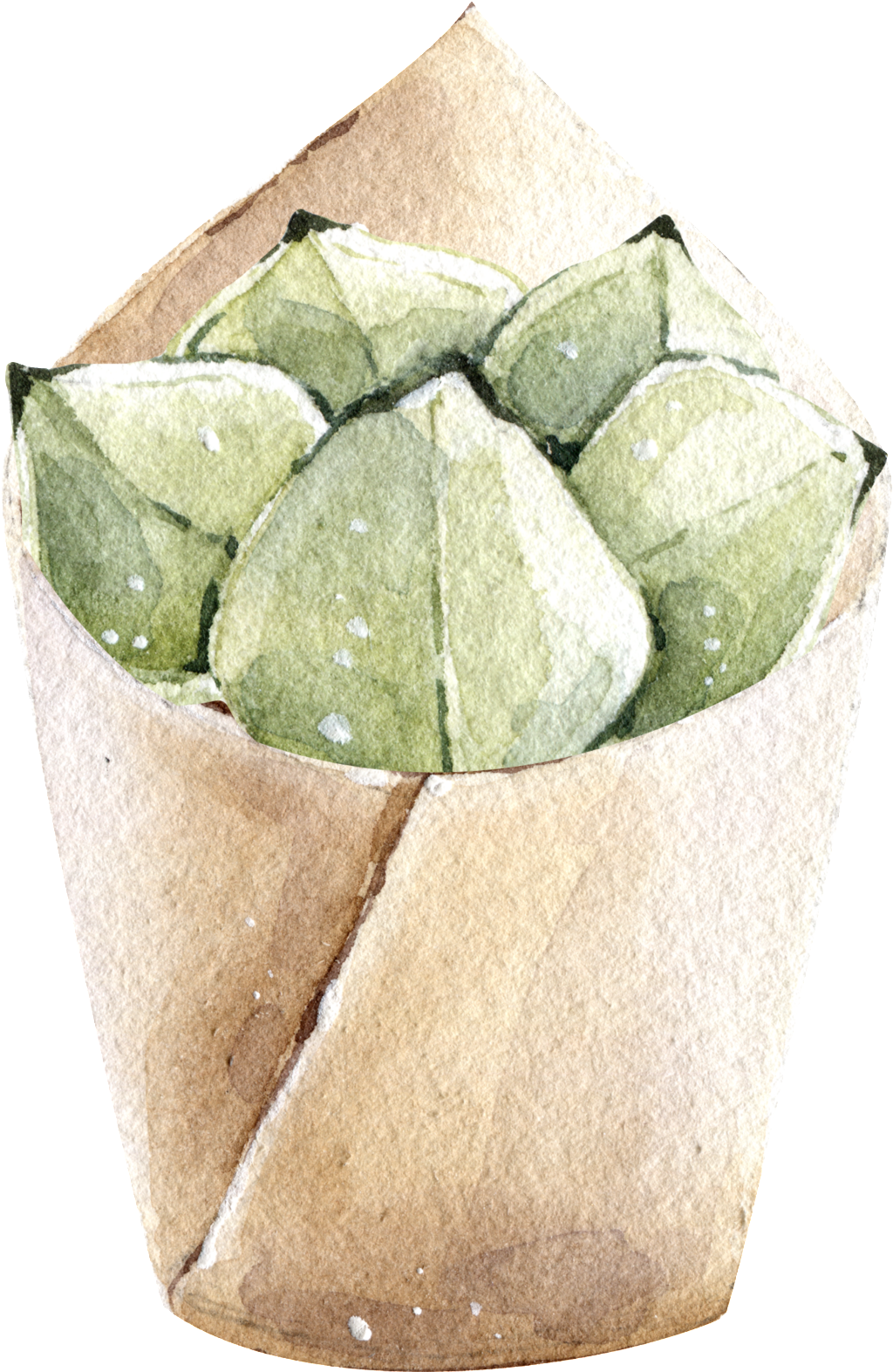 Green Watercolor Hand Painted Potted Plants Transparent - Watercolor Painting (1024x1573), Png Download