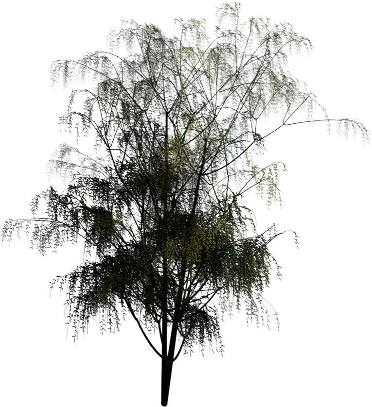 Feel Free To Use The Above Royalty-free - Pond Pine (800x862), Png Download