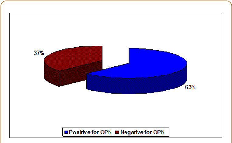 Immunoreactivity For Opn In Diseased Teeth - Couch (769x475), Png Download