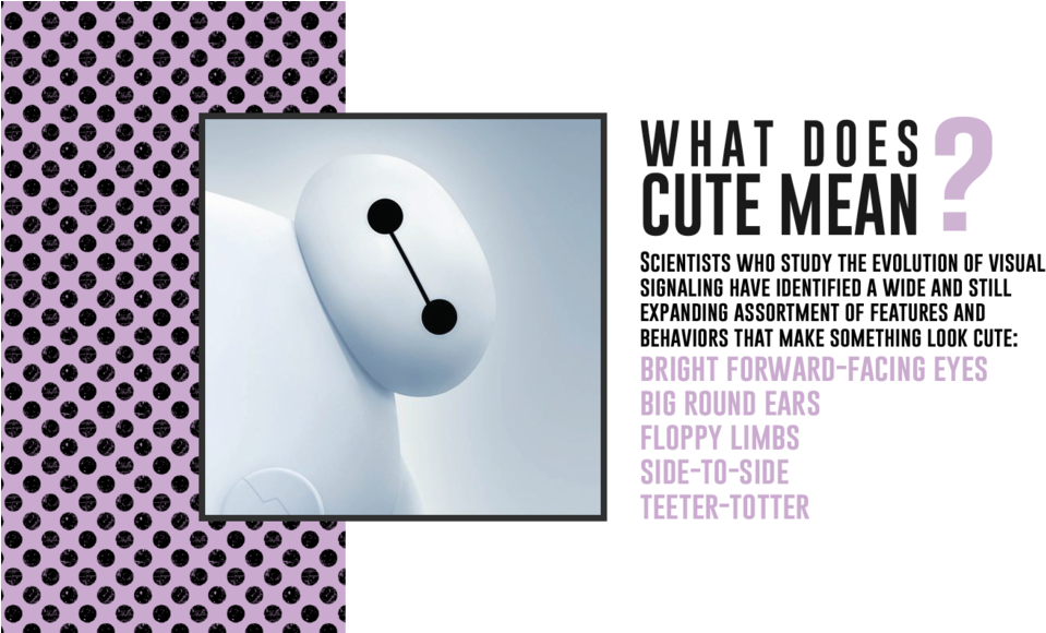 Artboard 2 (1000x579), Png Download