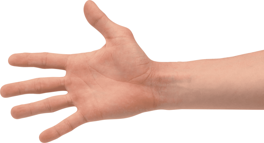 Free Png Four Finger Hand Png Images Transparent - Transparent Hand Png (850x462), Png Download