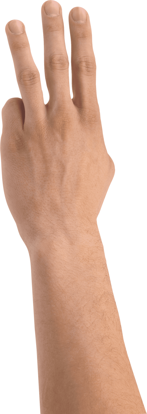 Free Png Three Finger Hand Png Images Transparent - Three Fingers Png (481x1355), Png Download