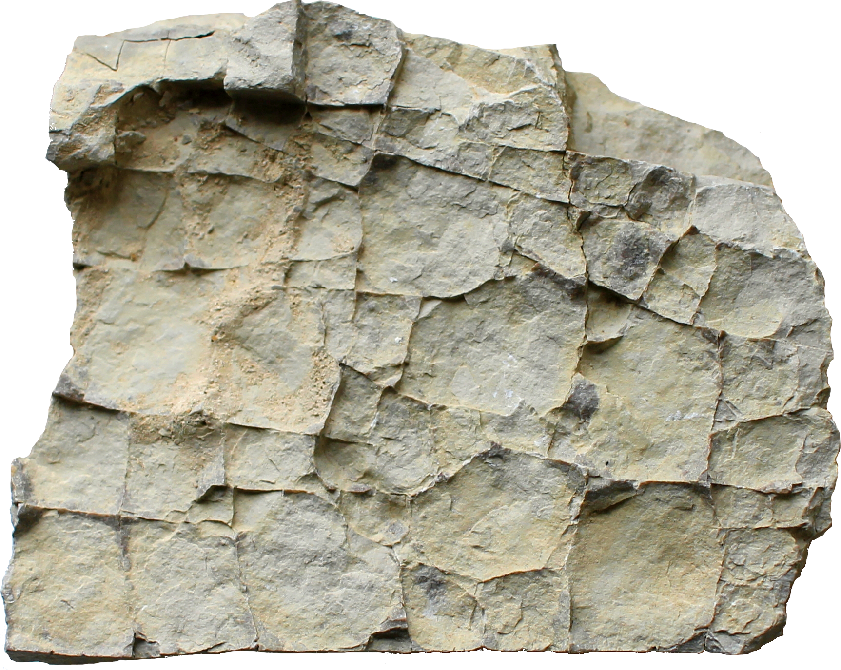 1760 × 1424 Px - Mudcrack (1760x1424), Png Download