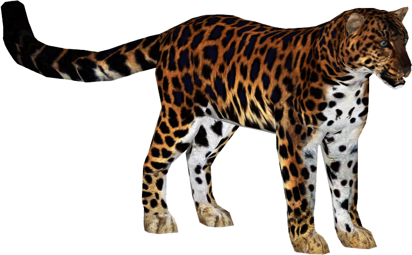 Amur Leopard 4 - Zoo Tycoon 2 Amur Leopard (826x826), Png Download