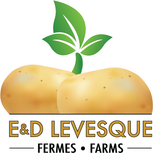 Potato Farmer Png Image Freeuse - Potato (828x600), Png Download
