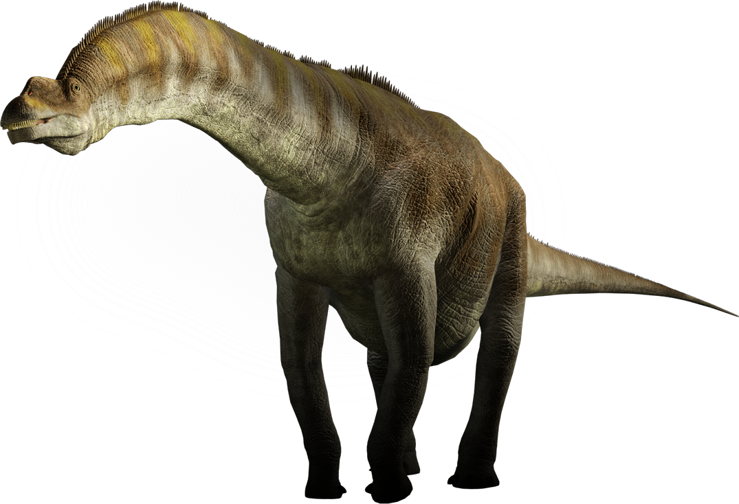 Big Animal In World (1075x734), Png Download