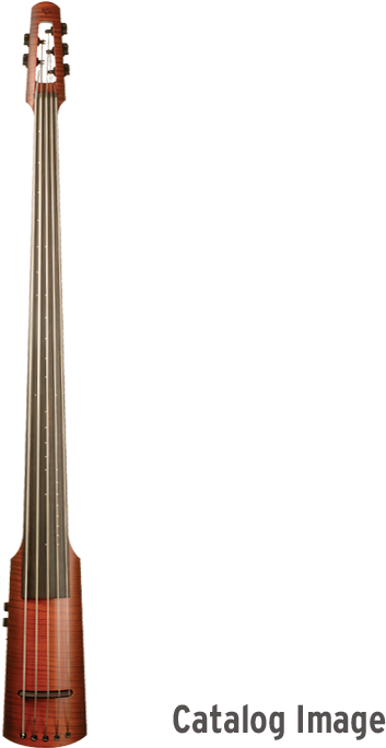 B-stock Nxt5a Electric Upright Bass - Ns Design (700x700), Png Download