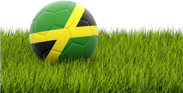 Download Football In Grass Png Full Size Png Image Pngkit
