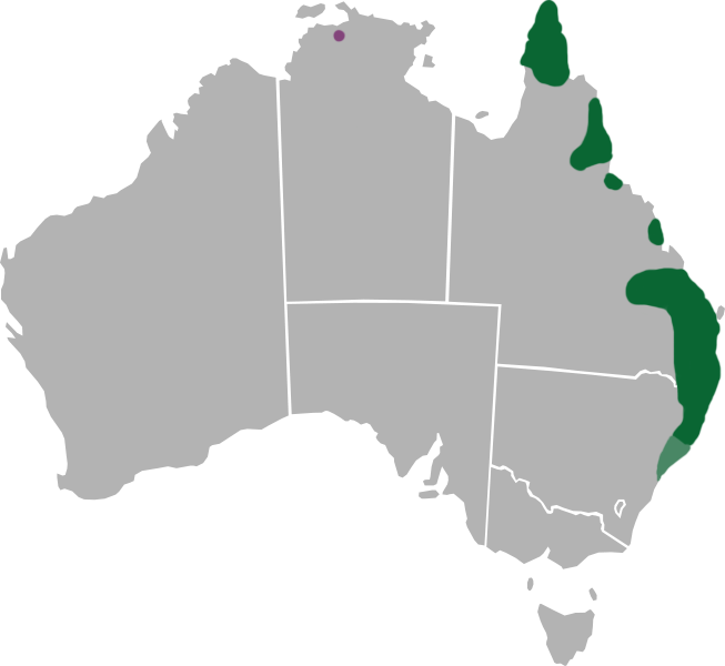 Protographium Leosthenes Range - Australian State And Territory Governments (653x600), Png Download