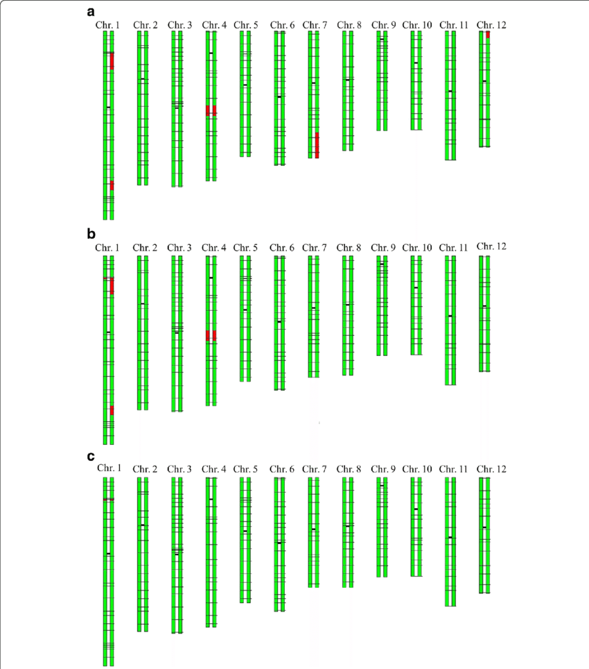 Ggt Of The Selected Lines - Colorfulness (850x964), Png Download