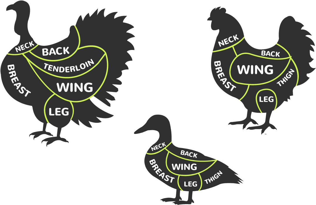 Poultry - Chicken (1200x800), Png Download