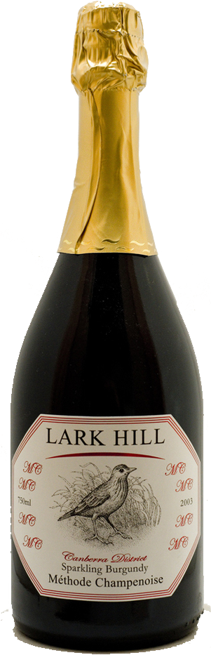 Sparklingshiraz2003 (642x1039), Png Download