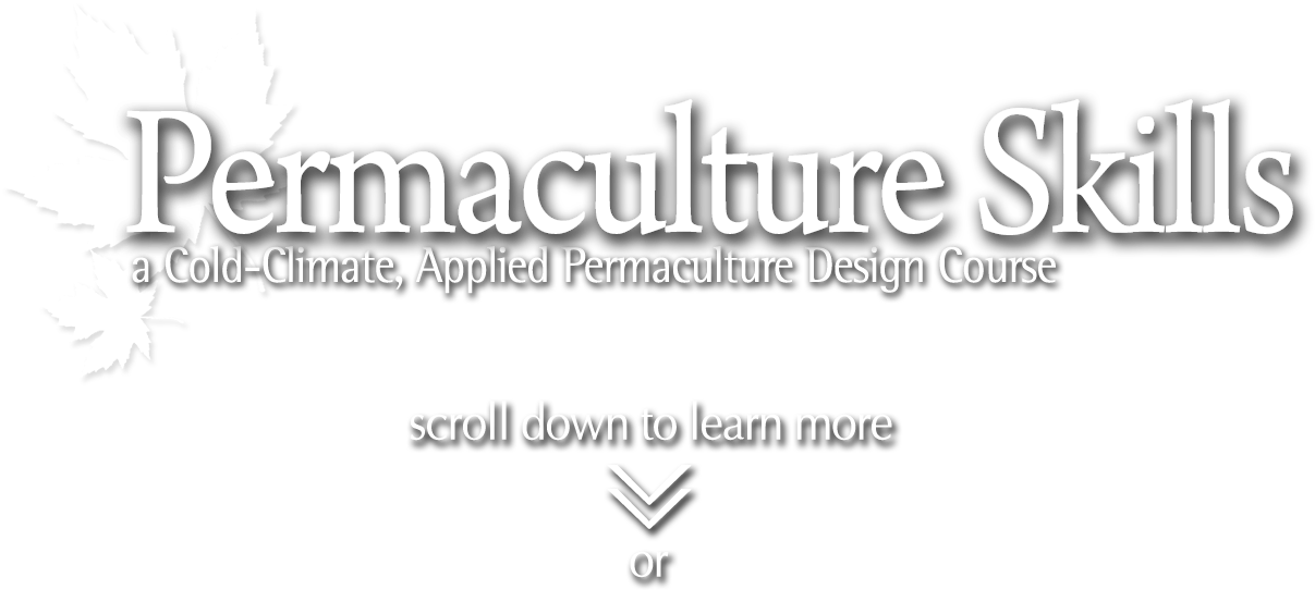 Calligraphy (1736x658), Png Download