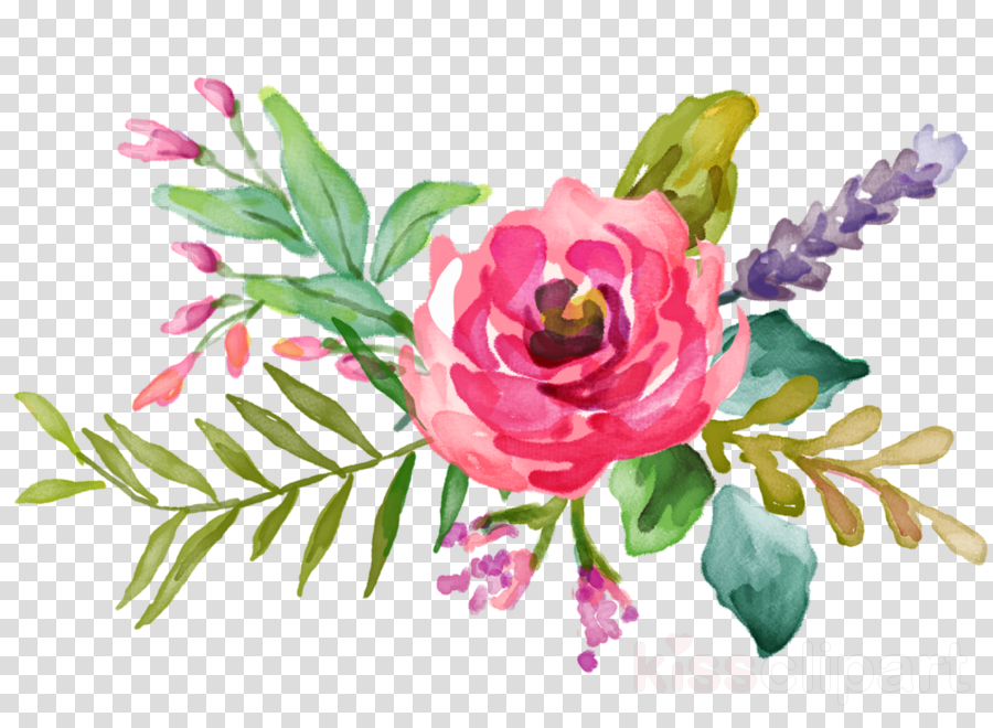 Download Transparent Water Flowers Png Clipart Watercolour Flowers