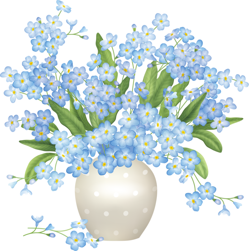 Disk Flower Clipart, Flowers Vase, Floral Flowers, - Happy Birthday Forget Me Nots (800x804), Png Download