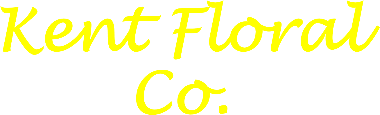 Kent Floral Co - Cafepress Keuka Lake Round Car Magnet Magnetic Bumper (1576x637), Png Download