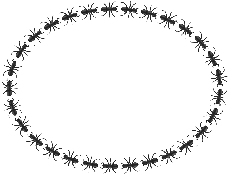 Ant Border Ellipse - Marriage Logo Clip Art (800x617), Png Download