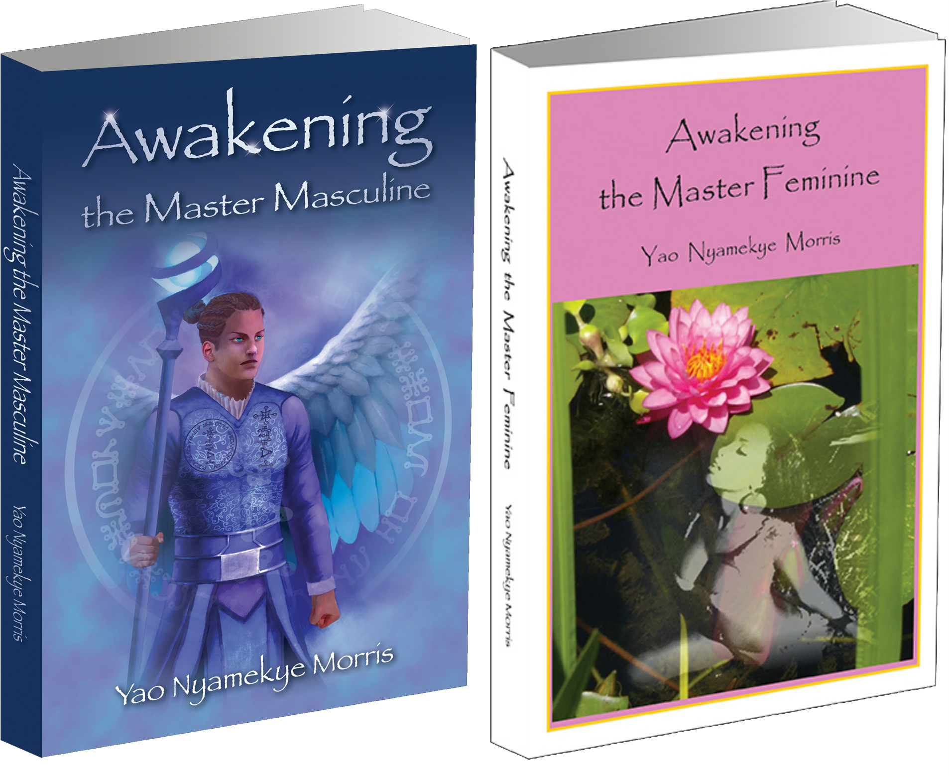 Grand Trine Life System - Awakening The Master Feminine (1920x1558), Png Download