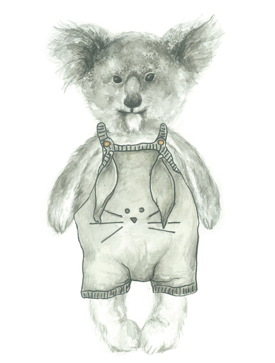 Home Main Koala Norm (955x1336), Png Download