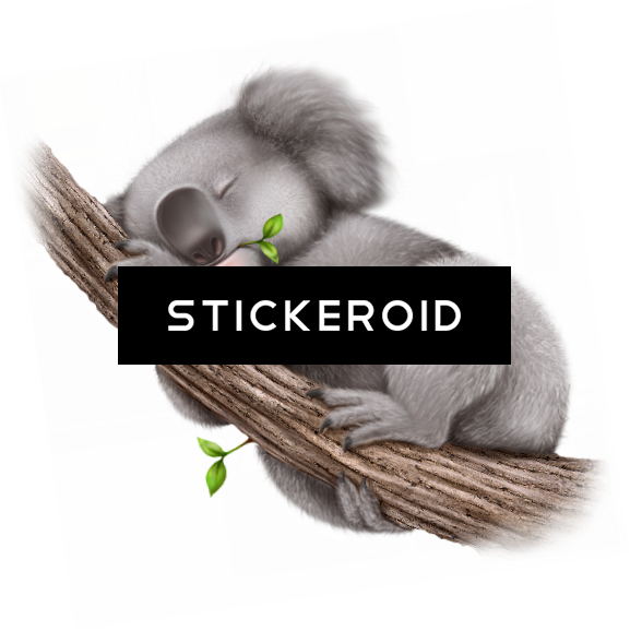 Koala - Duke Nukem Forever Box Art (577x578), Png Download