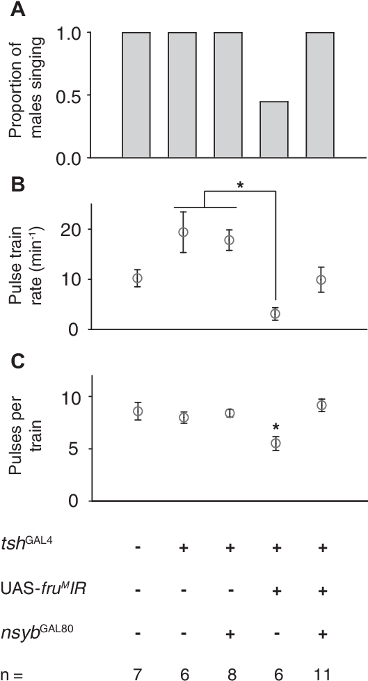 Expression Of Fru M Ir In Tsh-specifi C Pattern Reduces - Number (529x986), Png Download