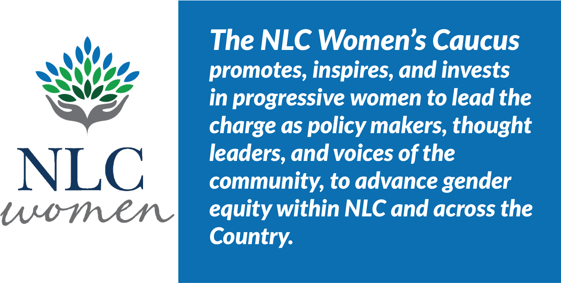 Womenscaucusheader - New Leaders Council (1833x917), Png Download