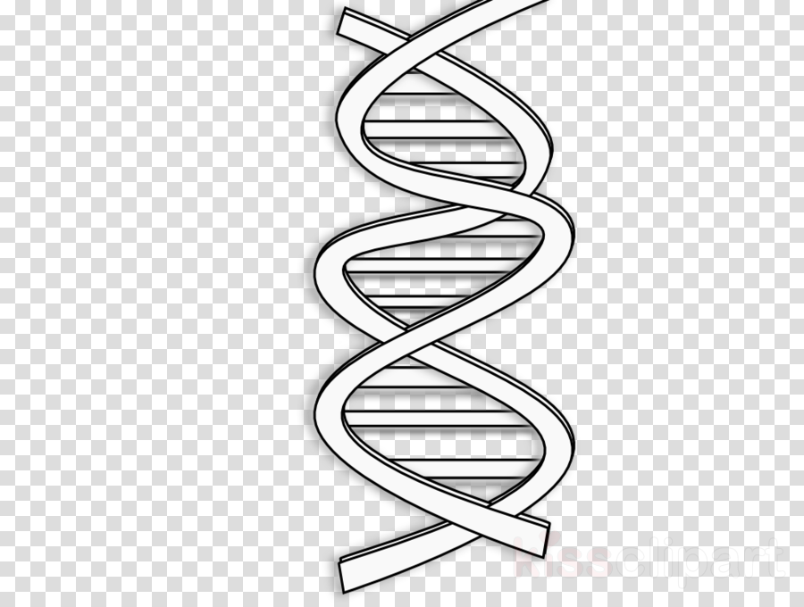 White Dna Clipart Dna Clip Art - Chibi Star War Png (900x680), Png Download
