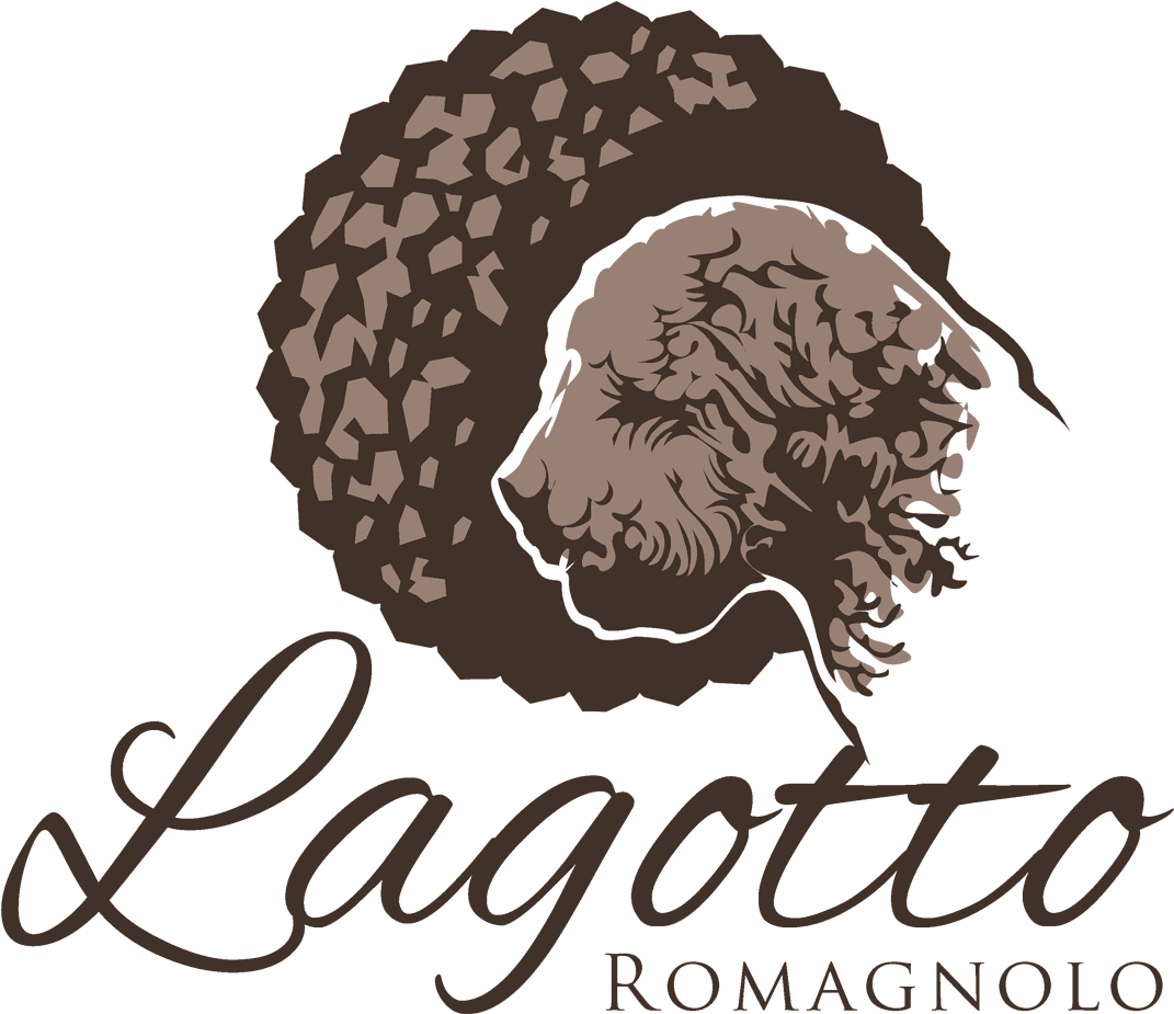 Breeder Of The Lagotto Romagnolo, The Italian Truffle - Coloring For Adults: Ladies, A Coloring Book (1080x930), Png Download