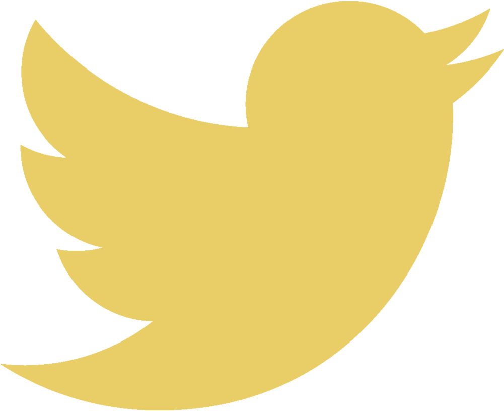 Twittericon - Transparent White Bird Twitter (1000x1001), Png Download