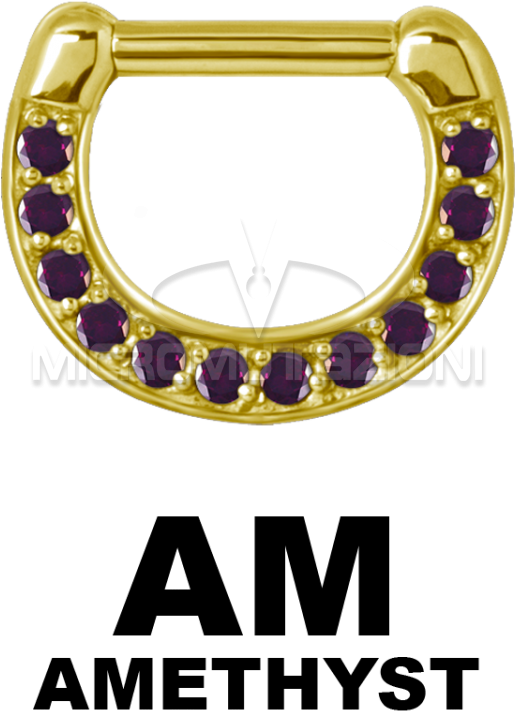 Zircon Steel Jewelled Septum Clicker With Cubic Zirconia - Surgical Stainless Steel (750x750), Png Download