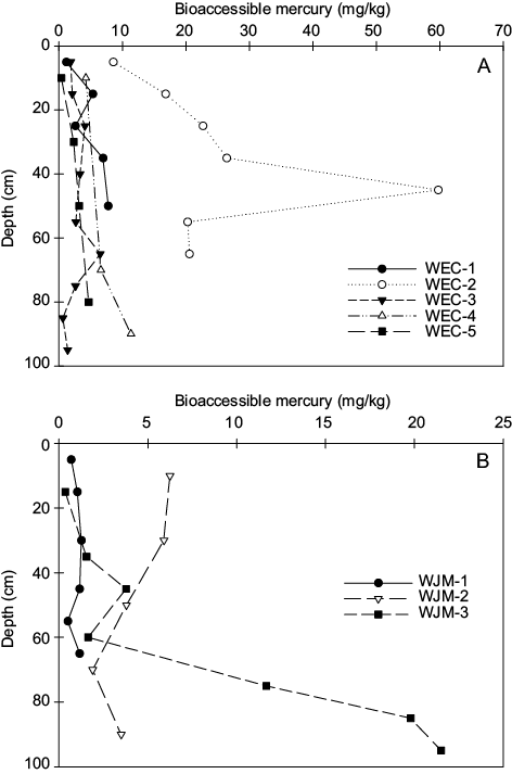 Variations In The Bioaccessible Mercury Concentrations - Diagram (472x713), Png Download