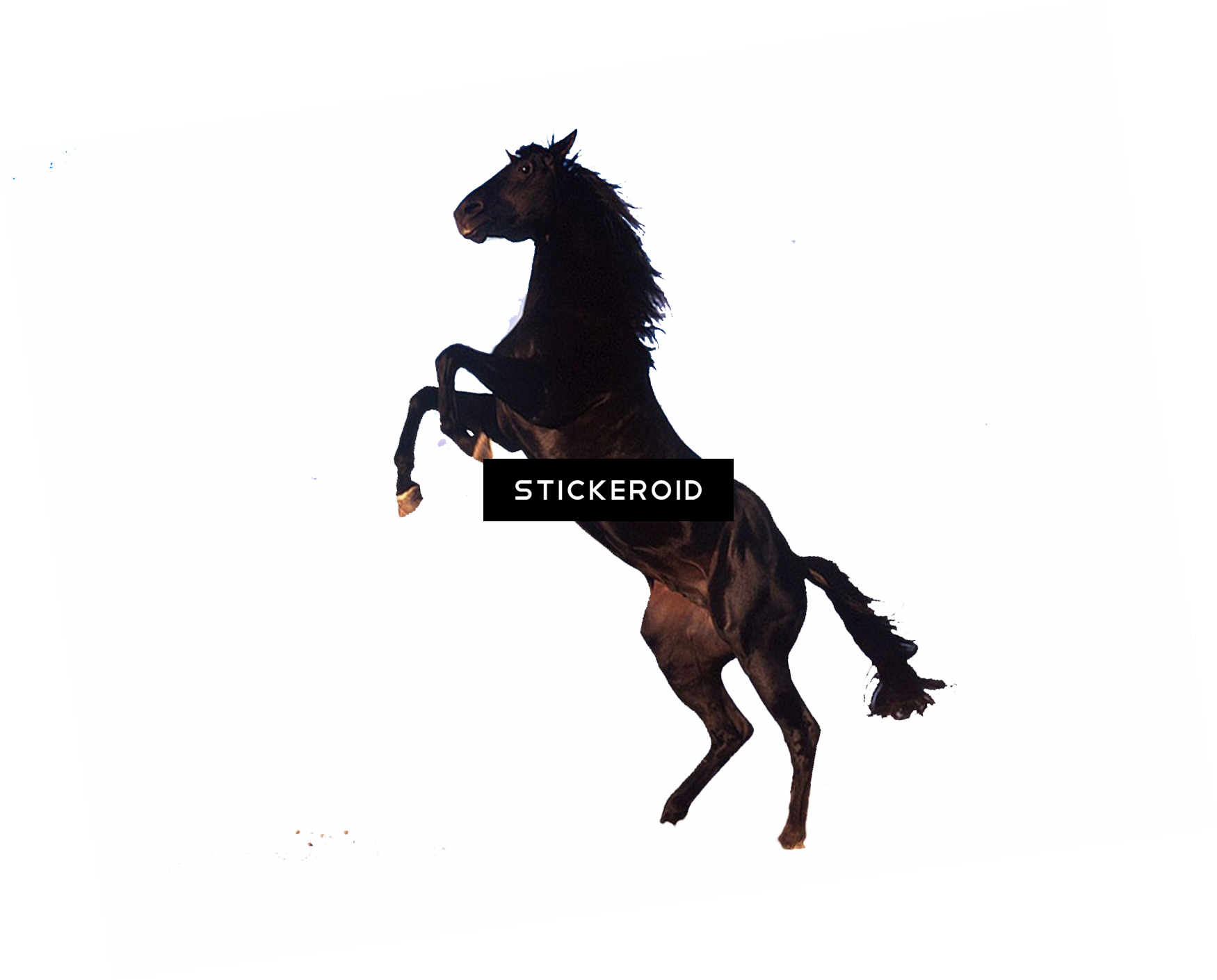 Horse - Standing Horse Clip Art (1750x1410), Png Download