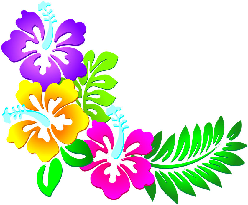 Resultado De Imagen Para Vectores De Flores - Corner Flower Border Designs Png (956x720), Png Download