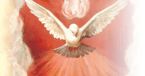 Confirmacion Png (600x315), Png Download